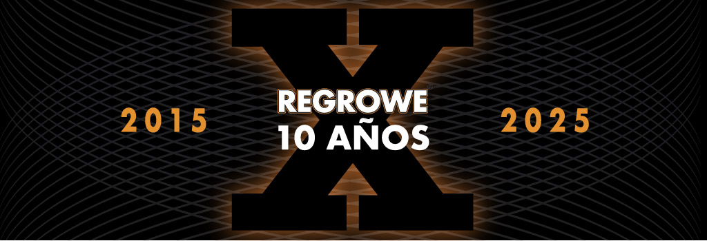 banner%2010%20años 77