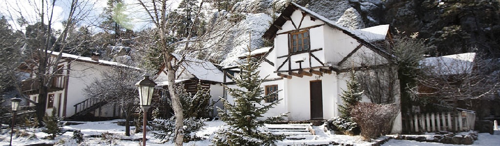 minoxidil%20chihuahua 80