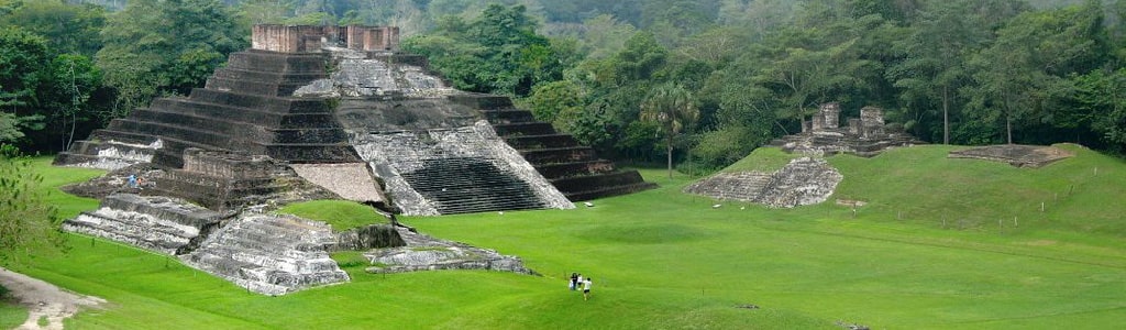 minoxidil%20tabasco 80