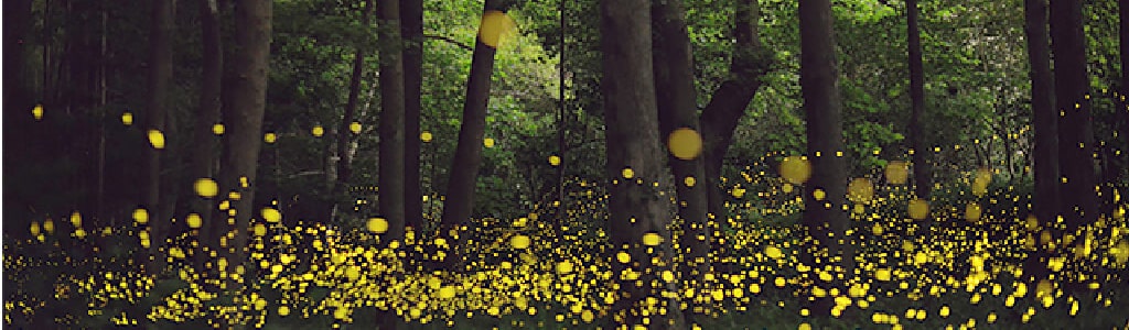 minoxidil%20tlaxcala 80